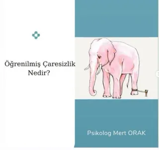 Psk. Mert Orak profilinde yer alan galeri fotoğrafı.
