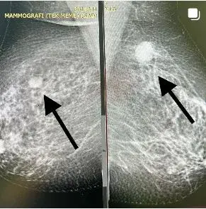 Prof. Dr. Naime Altınkaya profilinde yer alan galeri fotoğrafı.