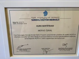Psk. Merve Özkal Güral profilinde yer alan galeri fotoğrafı.