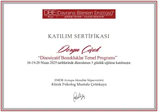Psk. Derya Çiçek profilinde yer alan galeri fotoğrafı.