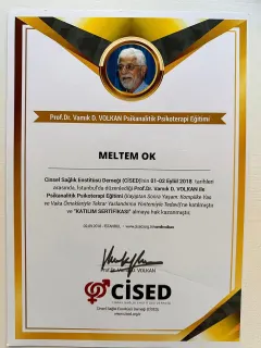 Kl. Psk. Meltem Bilgici profilinde yer alan galeri fotoğrafı.