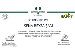 Fzt. Sena Beyza Şam profilinde yer alan galeri fotoğrafı.