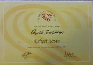 Prof. Dr. Mustafa Behçet Sevin profilinde yer alan galeri fotoğrafı.