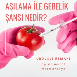 Op. Dr. Murat Mermerkaya profilinde yer alan galeri fotoğrafı.