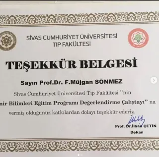 Prof. Dr. F. Müjgan Sönmez profilinde yer alan galeri fotoğrafı.