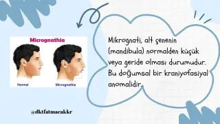 Dkt. Fatma Çakır profilinde yer alan galeri fotoğrafı.