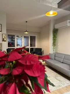 Dkt. Harun Alan profilinde yer alan galeri fotoğrafı.