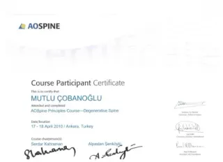 Prof. Dr. Mutlu Çobanoğlu profilinde yer alan galeri fotoğrafı.