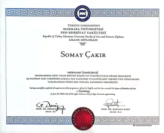 Kl. Psk. Somay Çakır Şahin profilinde yer alan galeri fotoğrafı.