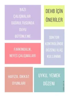 Dkt. Zuhal Taşçıoğlu Kutlar profilinde yer alan galeri fotoğrafı.