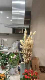 Dkt. Harun Alan profilinde yer alan galeri fotoğrafı.