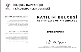 Kl. Psk. Barış Bahadır profilinde yer alan galeri fotoğrafı.