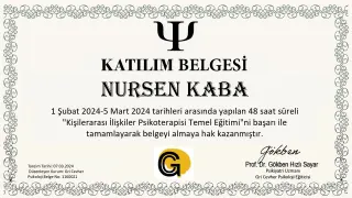 Psk. Nurşen Ege profilinde yer alan galeri fotoğrafı.