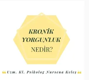Kl. Psk. Nursena Dedeoğlu profilinde yer alan galeri fotoğrafı.