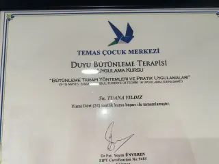 Erg. Tuana Yıldız profilinde yer alan galeri fotoğrafı.