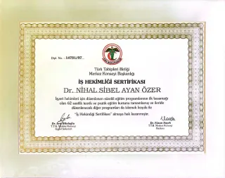 Dr. Nihal Sibel Özer profilinde yer alan galeri fotoğrafı.