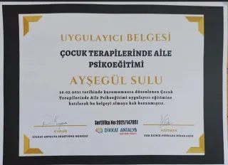Uzm. Dkt. Ayşegül Sulu profilinde yer alan galeri fotoğrafı.