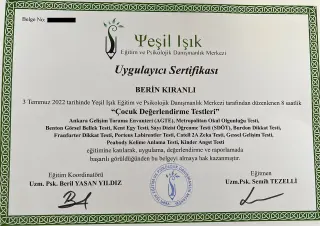 Psk. Berin Kıranlı profilinde yer alan galeri fotoğrafı.