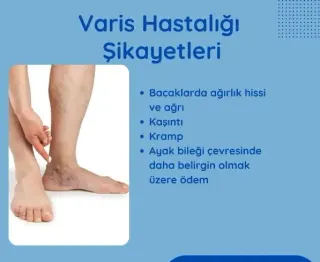 Prof. Dr. Suat Doğancı profilinde yer alan galeri fotoğrafı.