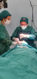 Prof. Dr. Pelin Kaynak profilinde yer alan galeri fotoğrafı.
