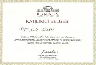 Dyt. Kadir Gezen profilinde yer alan galeri fotoğrafı.
