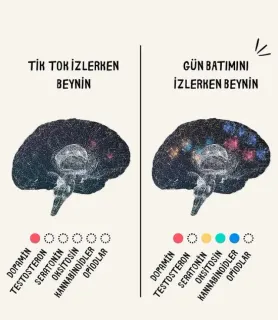 Uzm. Psk. Esra Özel profilinde yer alan galeri fotoğrafı.