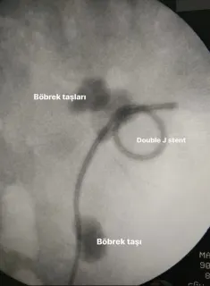 Op. Dr. Erhan Şen profilinde yer alan galeri fotoğrafı.