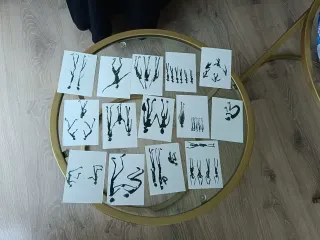 Kl. Psk. Zeynep Mertoğlu profilinde yer alan galeri fotoğrafı.