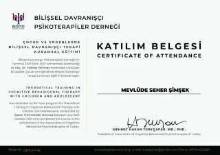 Kl. Psk. Mevlüde Seher Şimşek profilinde yer alan galeri fotoğrafı.