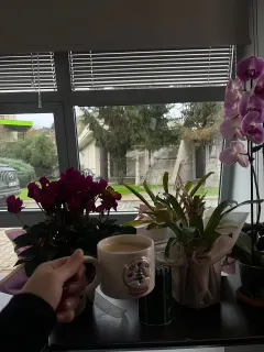 Dyt. Yağmur İpeksoy profilinde yer alan galeri fotoğrafı.