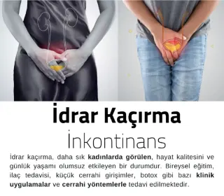 Prof. Dr. Hakkı Perk profilinde yer alan galeri fotoğrafı.