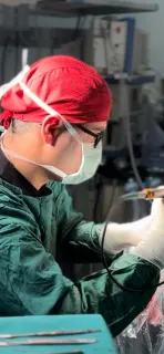 Dr. Öğr. Üyesi Altan Demirel profilinde yer alan galeri fotoğrafı.