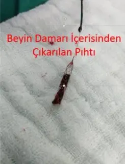 Doç. Dr. Fatih Yakar profilinde yer alan galeri fotoğrafı.
