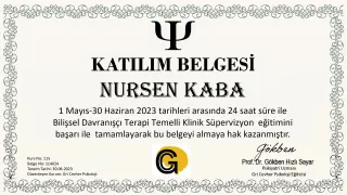 Psk. Nurşen Ege profilinde yer alan galeri fotoğrafı.