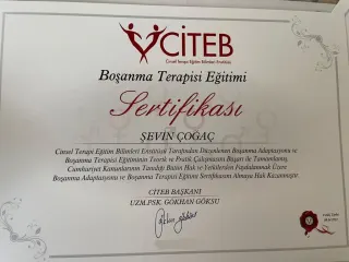 Psk. Şevin Çoğaç profilinde yer alan galeri fotoğrafı.