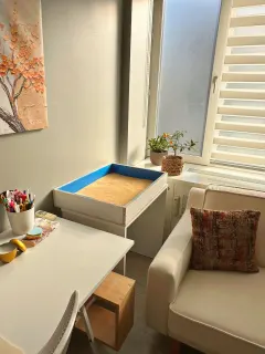 Kl. Psk. Sonay Aksungur profilinde yer alan galeri fotoğrafı.