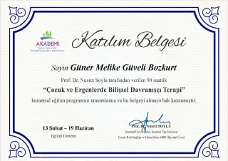 Uzm. Dr. Melike Güveli Bozkurt profilinde yer alan galeri fotoğrafı.