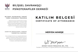 Psk. Meryem Akmeşe profilinde yer alan galeri fotoğrafı.