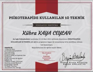 Psk. Kübra Kaya Ceylan profilinde yer alan galeri fotoğrafı.