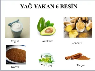 Dyt. Sernaz Çakır Ercil profilinde yer alan galeri fotoğrafı.
