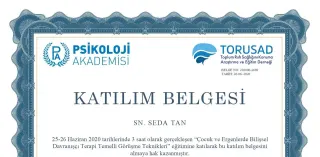 Kl. Psk. Seda Tan profilinde yer alan galeri fotoğrafı.