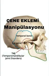 Fzt. Ahmet Demir profilinde yer alan galeri fotoğrafı.