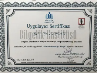Psk. Selin Coşar profilinde yer alan galeri fotoğrafı.