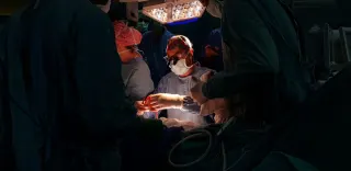 Prof. Dr. Savaş Serel profilinde yer alan galeri fotoğrafı.