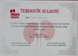 Dr. Öğr. Üyesi Dilan Altıntaş Ural profilinde yer alan galeri fotoğrafı.