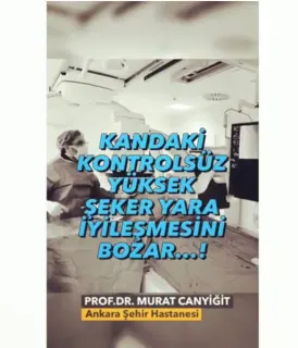 Prof. Dr. Murat Canyiğit profilinde yer alan galeri fotoğrafı.