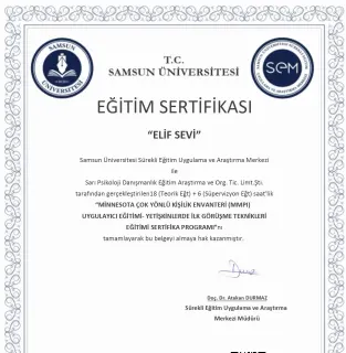 Psk. Elif Sevi Adıgüzel profilinde yer alan galeri fotoğrafı.