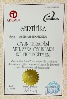 Ayşenur Bekaroğlu profilinde yer alan galeri fotoğrafı.