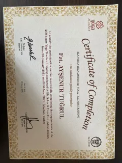 Fzt. Ayşenur Yıldırım profilinde yer alan galeri fotoğrafı.