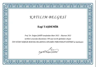 Kl. Psk. Ezgi Taşdemir Işık profilinde yer alan galeri fotoğrafı.